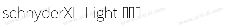 schnyderXL Light字体转换